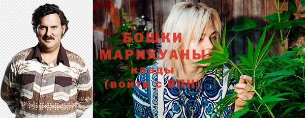 марки lsd Белокуриха