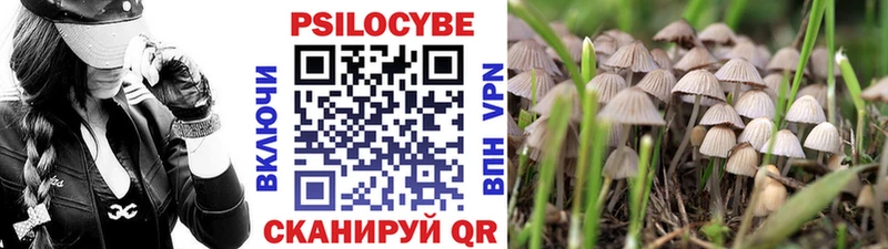 Псилоцибиновые грибы Psilocybine cubensis  купить наркоту  Михайловка 